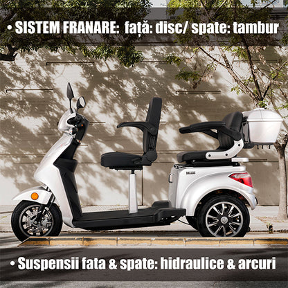 03 BANNER SISTEM FRANARE SI SUSPENSII - DESCRIEREDALLAS SILVER 3R2_SAMUS