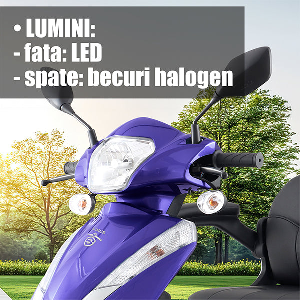 04 BANNER LUMINI - DESCRIERE DALLAS BLUE_SAMUS