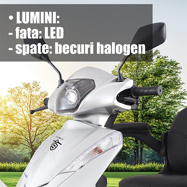 04 BANNER LUMINI - DESCRIERE DALLAS SILVER_SAMUS