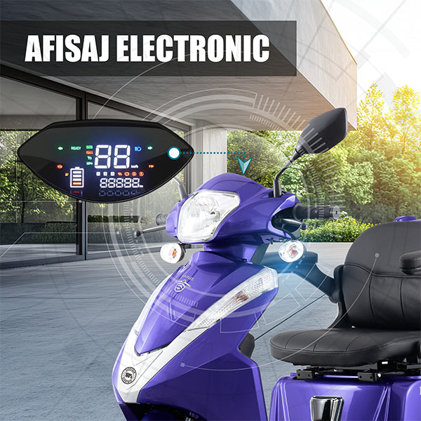 05 BANNER AFISAJ DIGITAL- DESCRIERE DALLAS BLUE_SAMUS