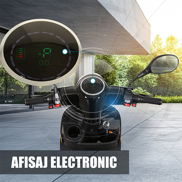 05 BANNER AFISAJ LED DIGITAL- DESCRIERE ARIZONA BLACK SAMUS
