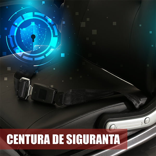 06 BANNER CENTURA SIGURANTA - DESCRIERE ARIZONA SILVER SAMUS