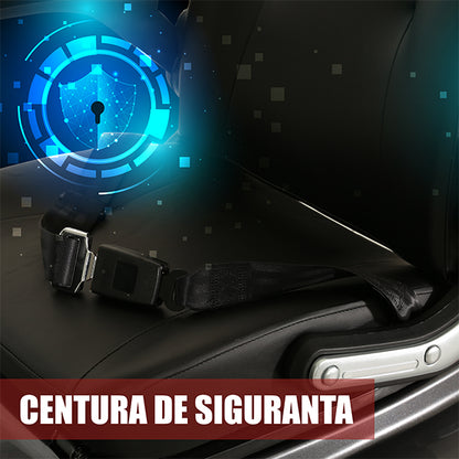 06 BANNER CENTURA SIGURANTA - DESCRIERE ARIZONA SILVER SAMUS