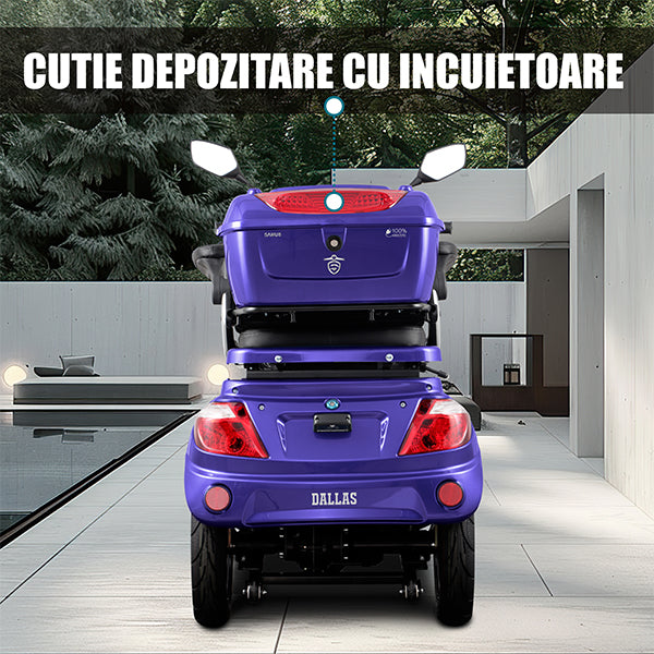 06 BANNER CUTIE DEPOZITARE - DESCRIERE DALLAS BLUE_SAMUS