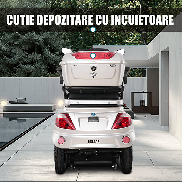 06 BANNER CUTIE DEPOZITARE - DESCRIERE DALLAS SILVER 3R2_SAMUS