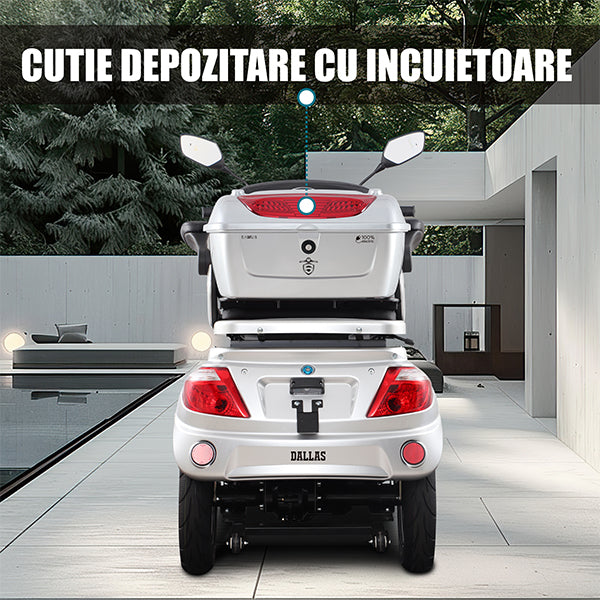 06 BANNER CUTIE DEPOZITARE - DESCRIERE DALLAS SILVER_SAMUS