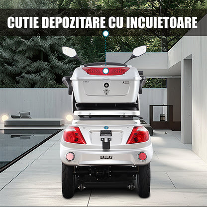 06 BANNER CUTIE DEPOZITARE - DESCRIERE DALLAS SILVER_SAMUS