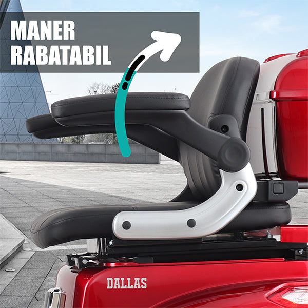 07 BANNER MANER RABATABIL - DESCRIERE DALLAS REDSAMUS