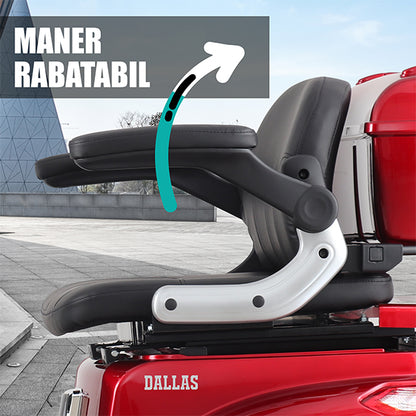 07 BANNER MANER RABATABIL - DESCRIERE DALLAS REDSAMUS