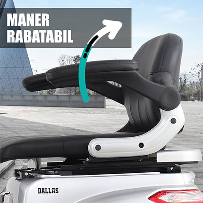 07 BANNER MANER RABATABIL - DESCRIERE DALLAS SILVER_SAMUS