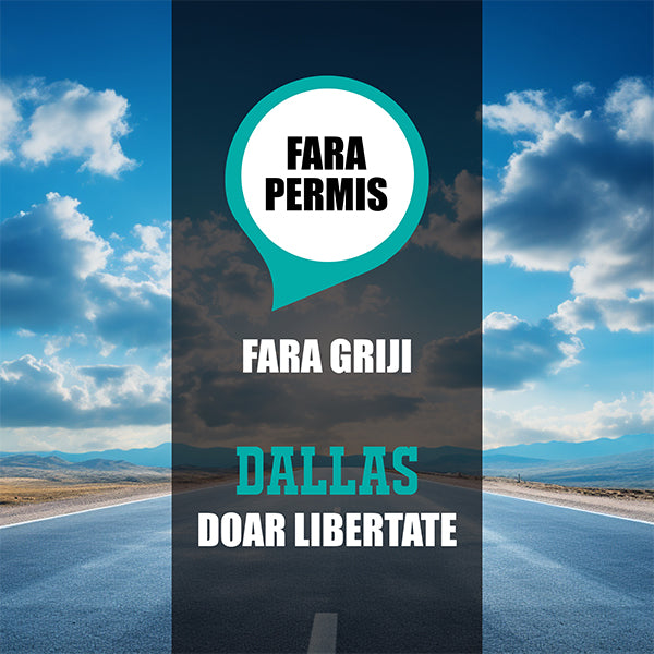 08 BANNER FARA PERMIS - DESCRIERE DALLAS SILVER 3R2_SAMUS