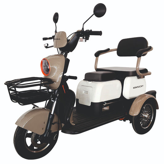 Triciclu-electric-Samus-Kentucky-3R1-10T1000-60V20-Brown-White