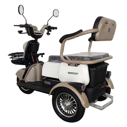 Triciclu-electric-Samus-Kentucky-3R1-10T1000-60V20-Brown-White_4
