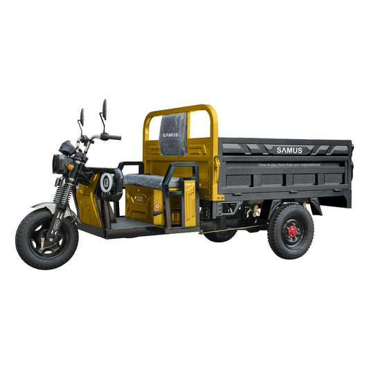 Triciclu electric cargo Samus Texas-25-1.7-72V58 Yellow Dark Silver