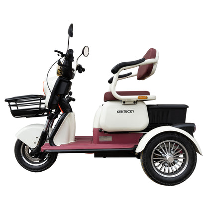 Triciclu_electric_Samus_Kentucky-3R1-10T1000-60V20-Beige-Burgundy_lateral