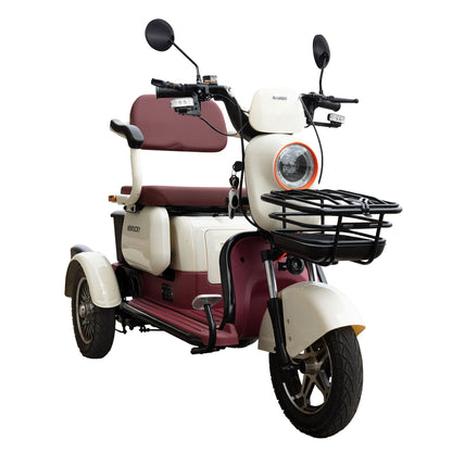 Triciclu_electric_Samus_Kentucky-3R1-10T1000-60V20-Beige-Burgundy_lateral_dreapta