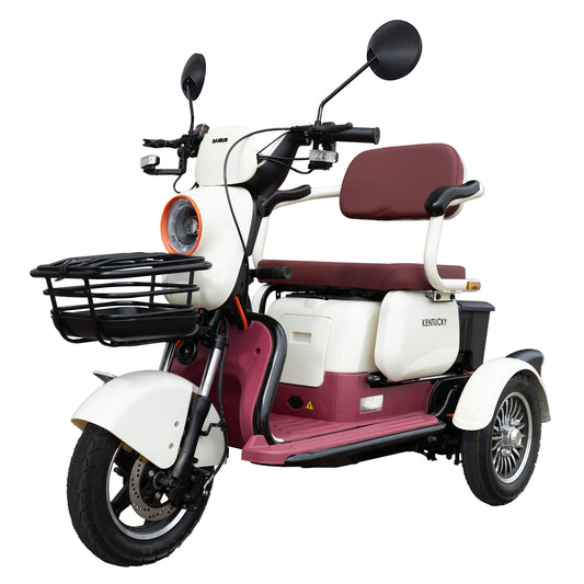 Triciclu_electric_Samus_Kentucky-3R1-10T1000-60V20-Beige-Burgundy_lateral_stanga