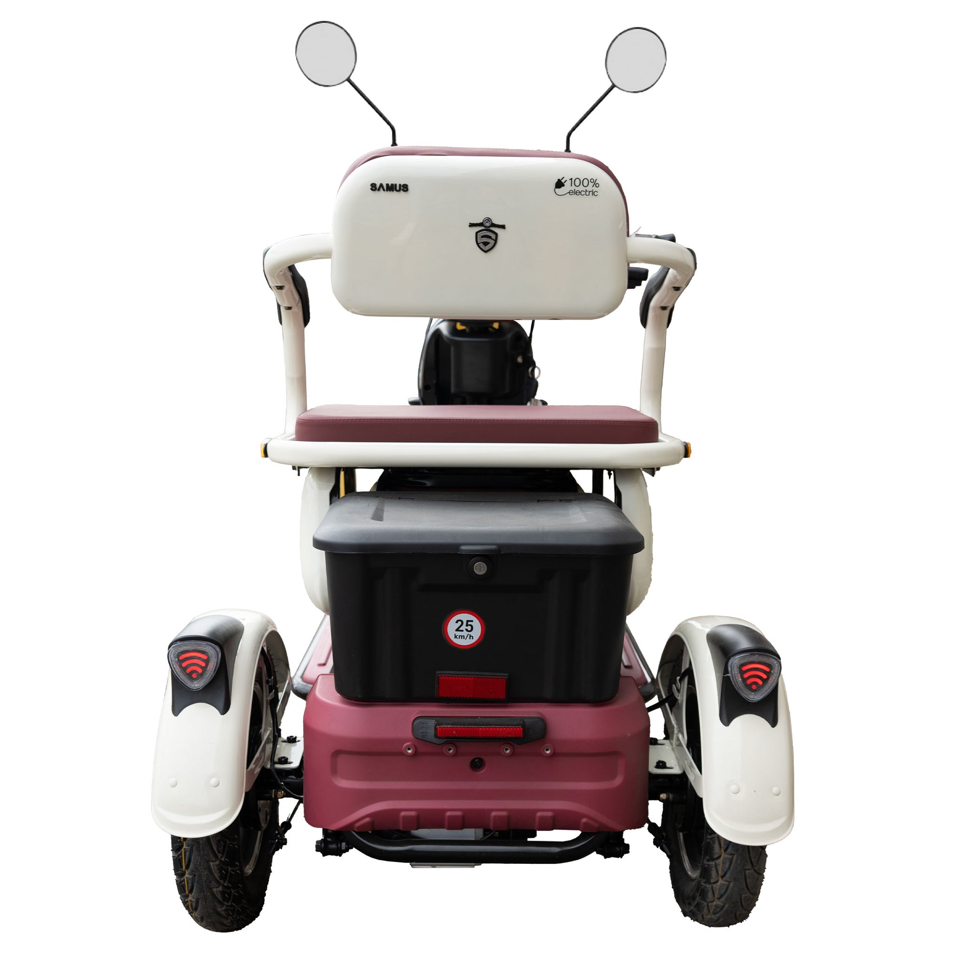 Triciclu_electric_Samus_Kentucky-3R1-10T1000-60V20-Beige-Burgundy_spate