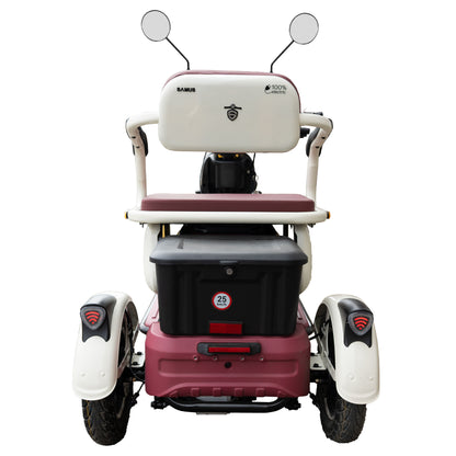 Triciclu_electric_Samus_Kentucky-3R1-10T1000-60V20-Beige-Burgundy_spate